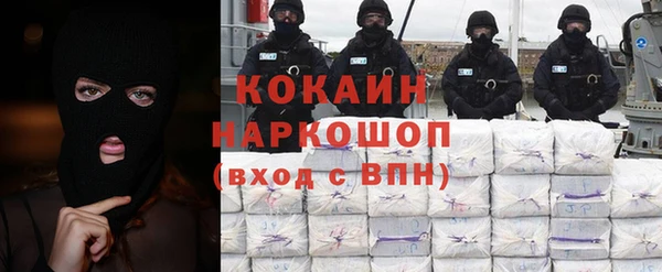 индика Горнозаводск