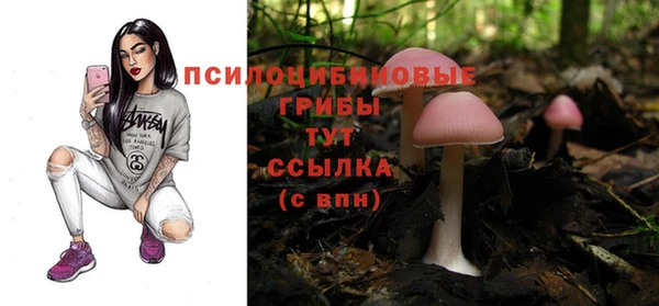 спиды Горно-Алтайск