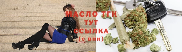 индика Горнозаводск