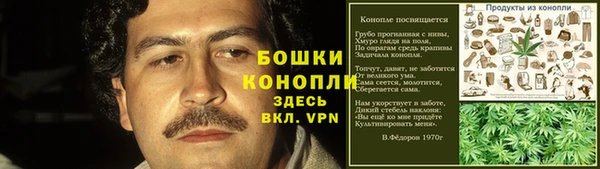 индика Горнозаводск