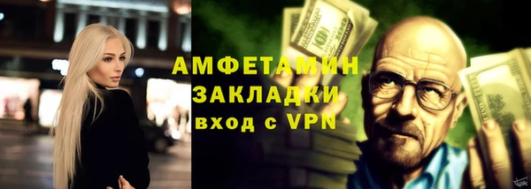 индика Горнозаводск