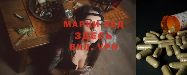 индика Горнозаводск