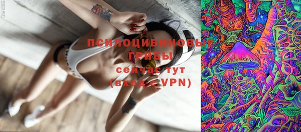индика Горнозаводск