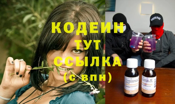индика Горнозаводск