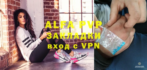 индика Горнозаводск