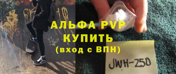 индика Горнозаводск