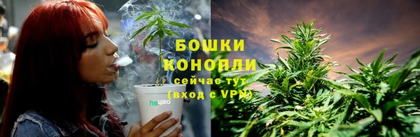 индика Горнозаводск