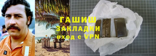 индика Горнозаводск