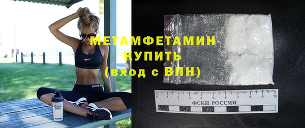 индика Горнозаводск
