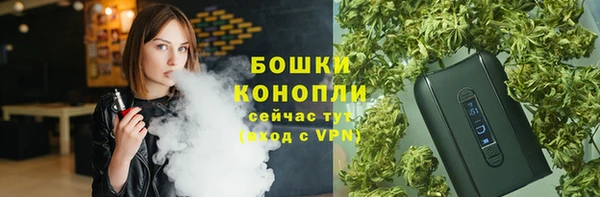индика Горнозаводск