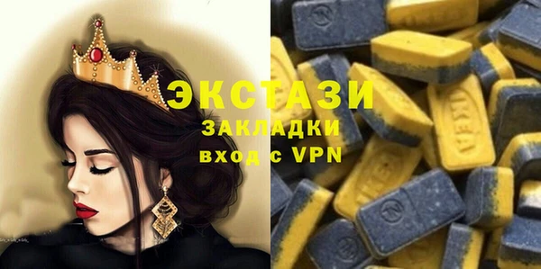 индика Горнозаводск